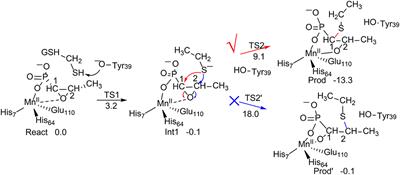 Computational Understanding of the Selectivities in Metalloenzymes